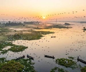 Surha Tal Bird Sanctuary